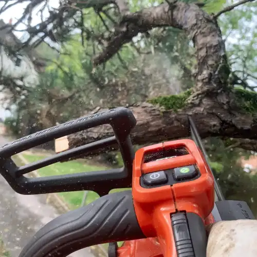 Motosserra Podador Profissional Husqvarna T542i XP NEW